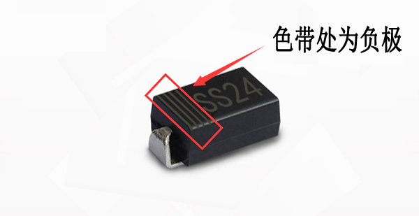 SS24 正负极