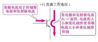 三极管电路符号
