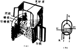 放大管