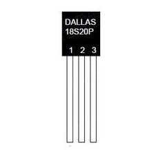 DS18B20